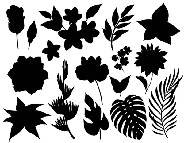 Ensemble de fleurs tropicales et silhouettes de feuilles isolées sur fond blanc — Image vectorielle