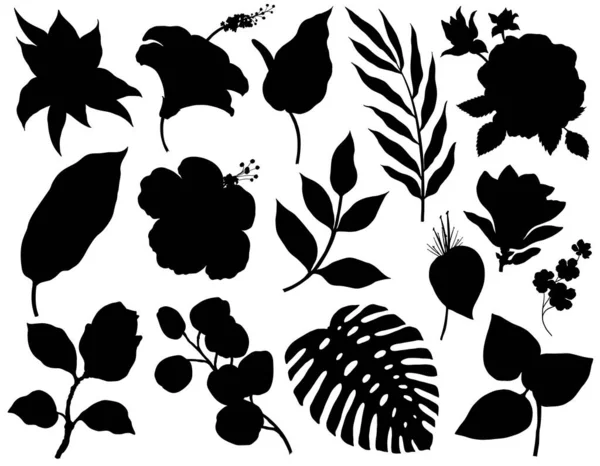 Set tropischer Pflanzen Silhouetten isoliert auf weißem Hintergrund — Stockvektor