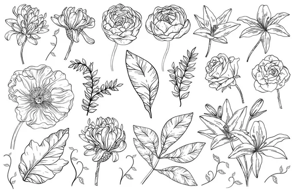 ヴィンテージフラワーセット。花や葉、夏の植物。花のデザイン。黒と白 — ストックベクタ