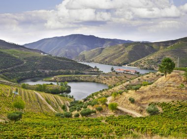 Beautifu landscape in the Douro region clipart