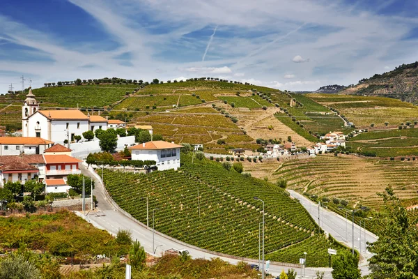 The Douro region, Portugal — Stock Photo, Image