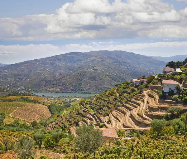 Doliny Douro, w Portugalii — Zdjęcie stockowe