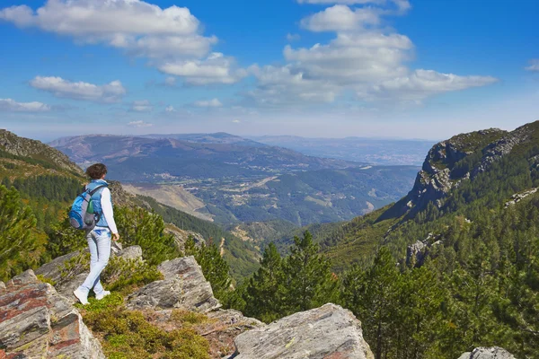 På en klippa i nationalparken i portugal — Stockfoto