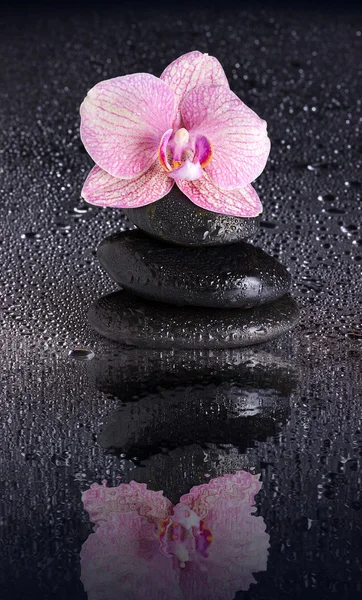 Pirámide de piedra de spa húmedo y flor de orquídea con reflejo — Foto de Stock