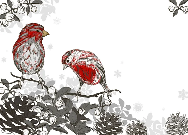 Vánoční ručně tažené zázemí pro vánoční design s zimní ptačí — Stockový vektor