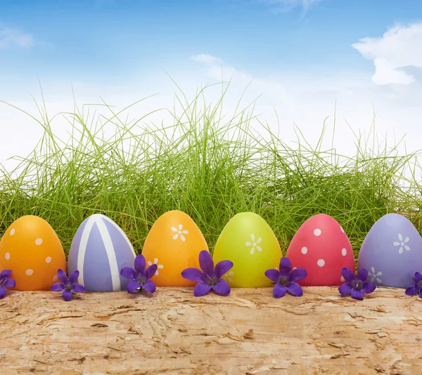 Uova di Pasqua colorate su sfondo di legno con erba primaverile — Foto Stock