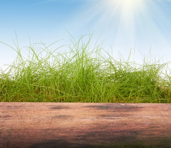 Green grass on a wooden background — Stock Photo, Image