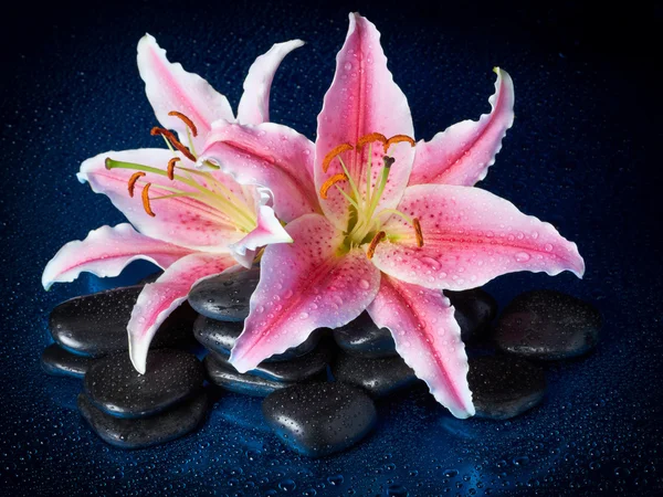 Spa stones and lily flowers with reflection — Stock Photo, Image