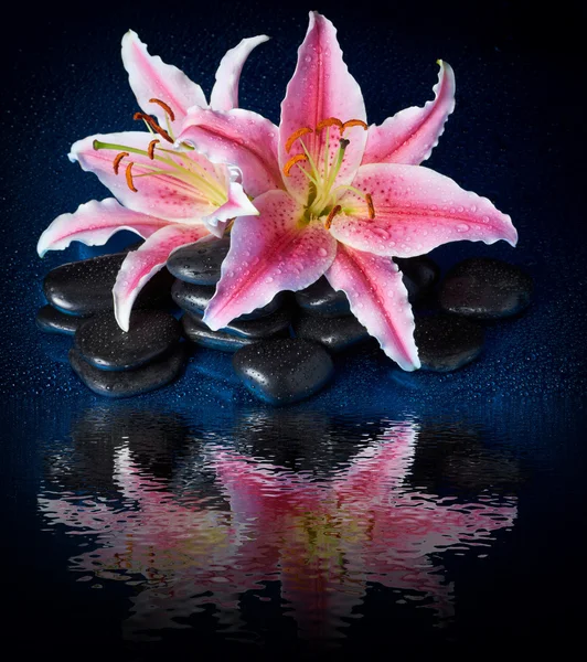 Wellness-Steine und Lilienblüten — Stockfoto