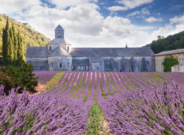 Senanque Abbey in Vaucluse, Provence, France  clipart