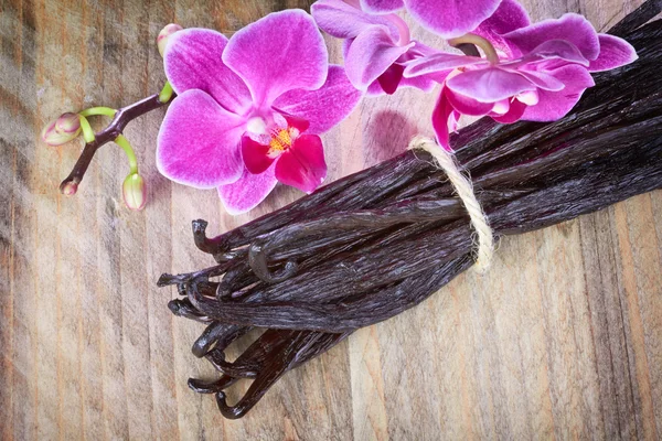 Vanillestäbchen und Orchideenblume — Stockfoto