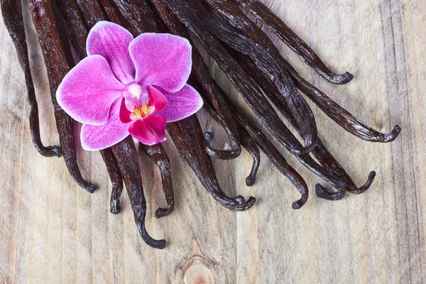 Palos de vainilla y orquídea —  Fotos de Stock