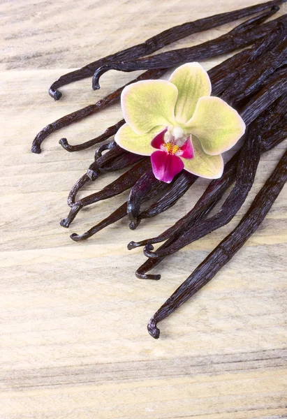 Palos de vainilla y orquídea — Foto de Stock