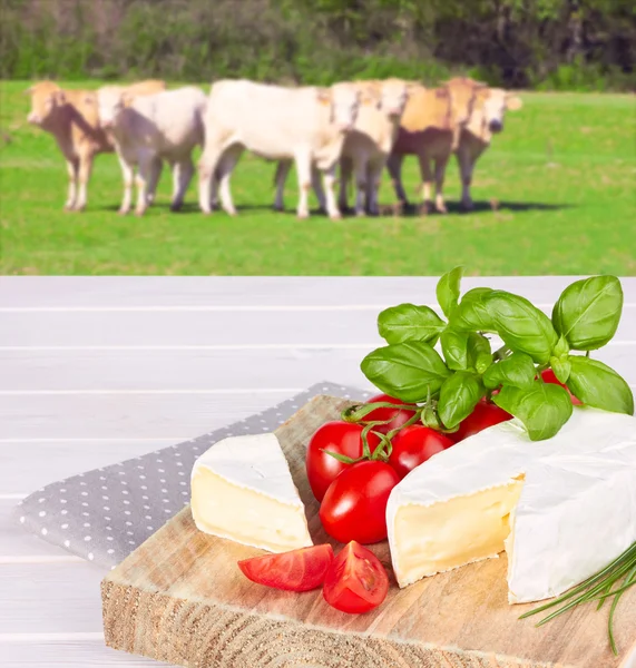 Formaggio di mucca, pomodorini e basilico su fondo di legno — Foto Stock