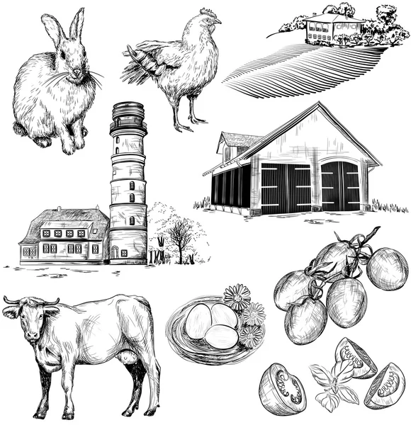 Vector farm and agriculture pictures — Stock Vector