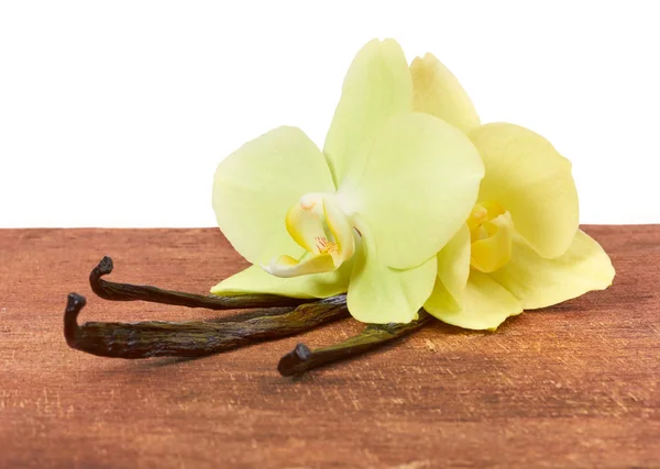 Palos de vainilla y orquídeas — Foto de Stock