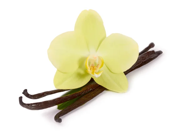 Vanilla sticks and yellow orchids — Stock Photo, Image