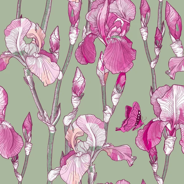 Seamless pattern with Beautiful pink iris flowers — Stock Vector