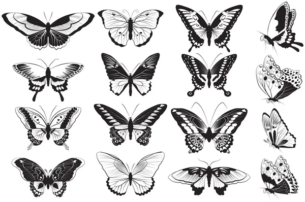 Vector set of Black and white butterflies — Stock Vector