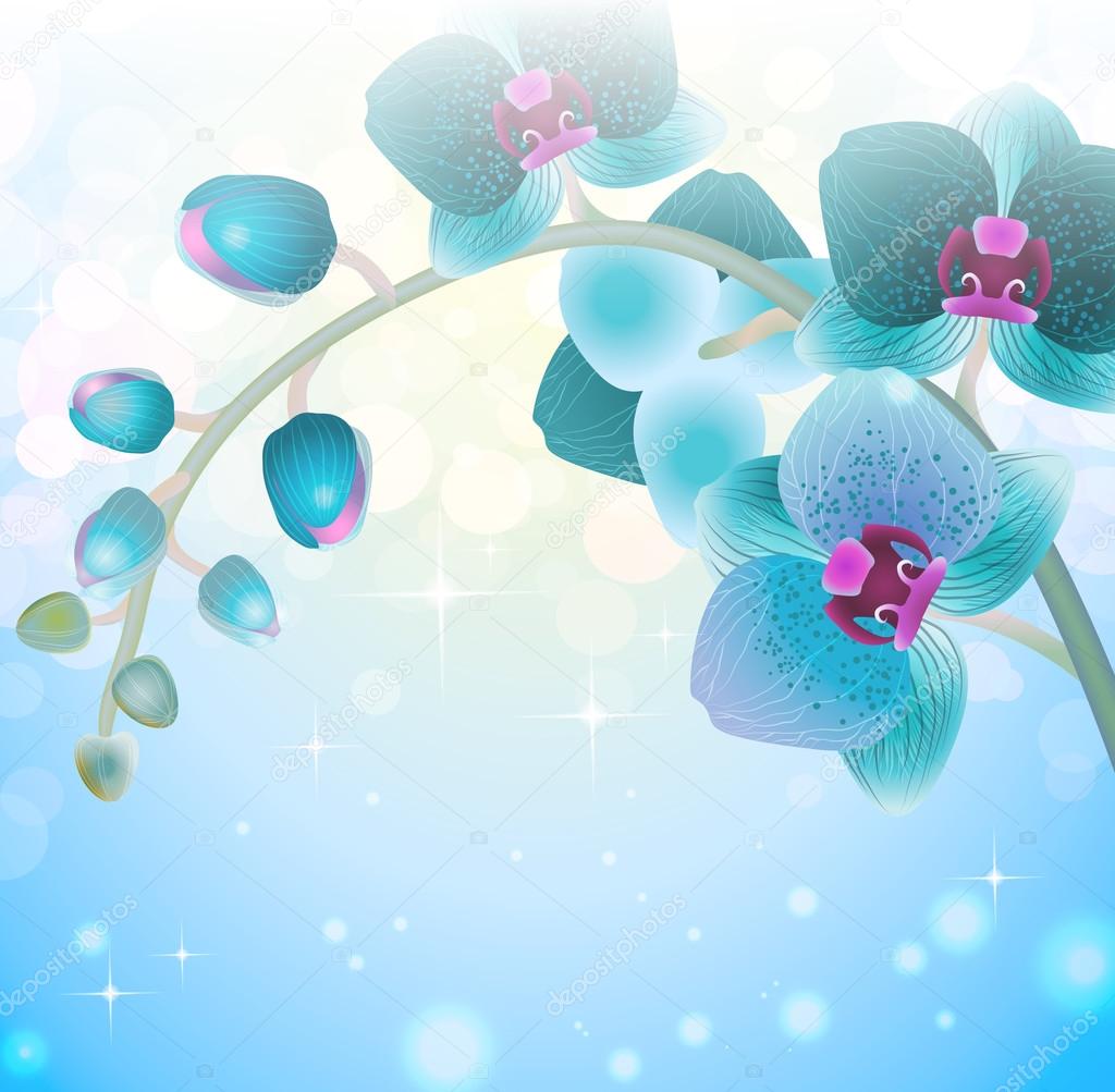 orchid flower on blur background