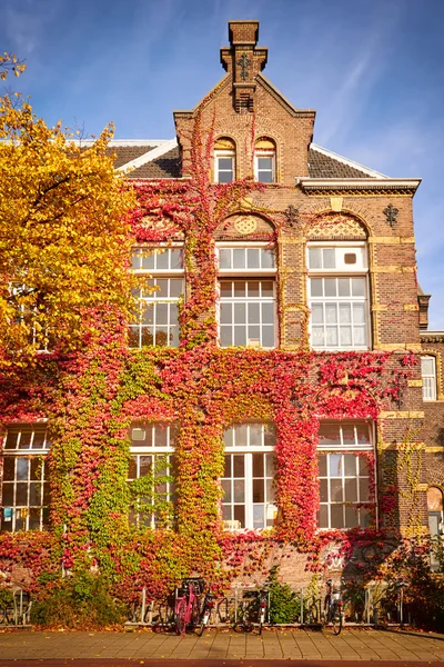 传统在阿姆斯特丹的荷兰建筑 — 图库照片