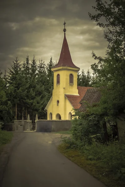 Antigo mosteiro no fundo da floresta — Fotografia de Stock
