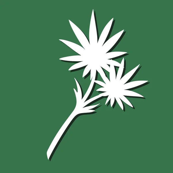 Dekoratives Pflanzenelement Weißes Objekt Auf Grünem Hintergrund Das Thema Natur — Stockvektor