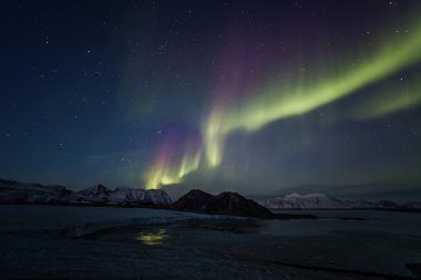 Kuzey ışıkları üzerinde Arctic sky