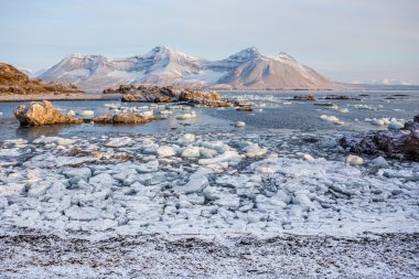 Arctic kıyıda - Spitsbergen, Svalbard buz