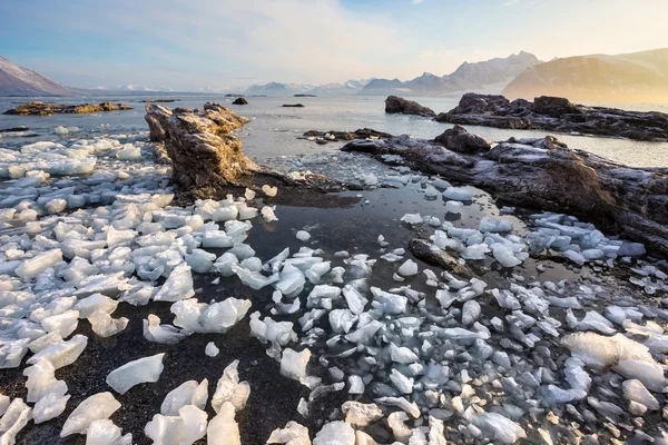 Paisaje ártico con hielo glaciar — Foto de Stock