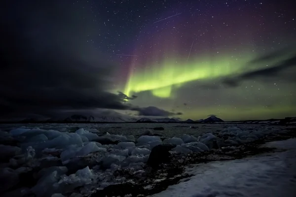 Luces boreales en el cielo ártico - Spitsbergen, Svalbard Fotos de stock libres de derechos