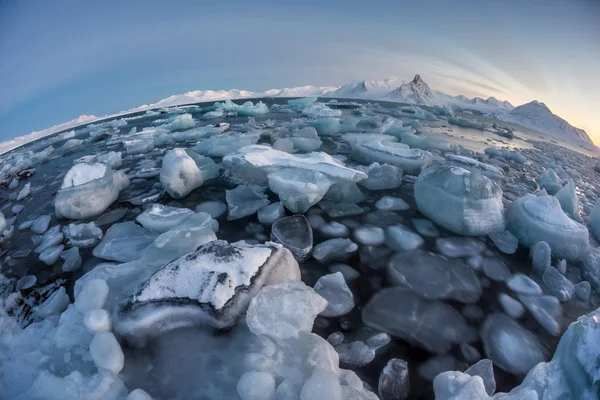 Paisaje típico del invierno ártico: hielo glaciar en el fiordo — Foto de Stock