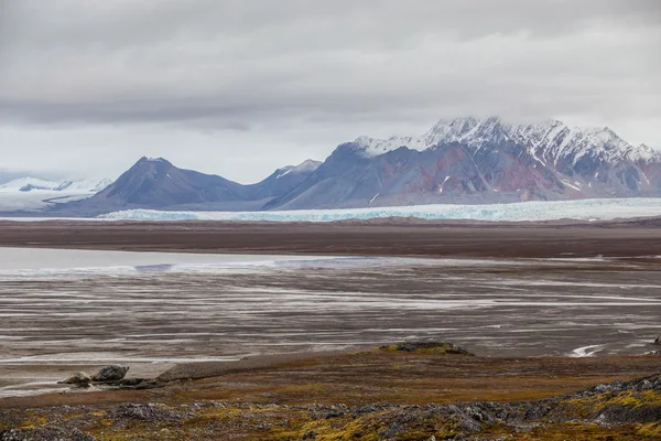 Арктический летний пейзаж - горы, фьорд, ледники - Шпицберген, Шпицберген — стоковое фото