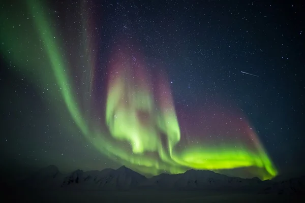 Aurores boréales - paysage arctique — Photo