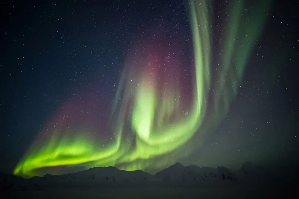 Luces boreales inusuales y coloridas sobre el archipiélago de Svalbard - Ártico — Foto de Stock