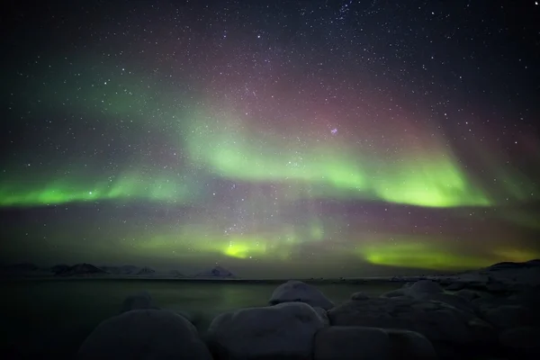 Luci settentrionali sopra l'arcipelago artico delle Svalbard — Foto Stock