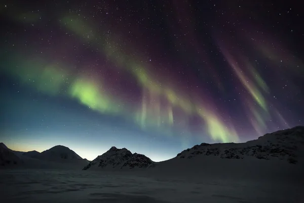 Aurores boréales - paysage arctique — Photo