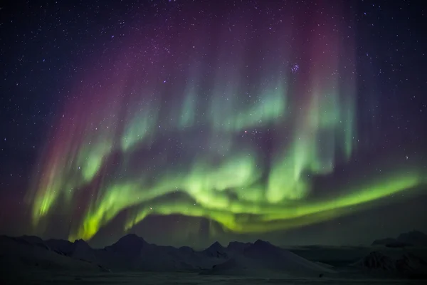 Potenti aurore boreali Paesaggio artico — Foto Stock