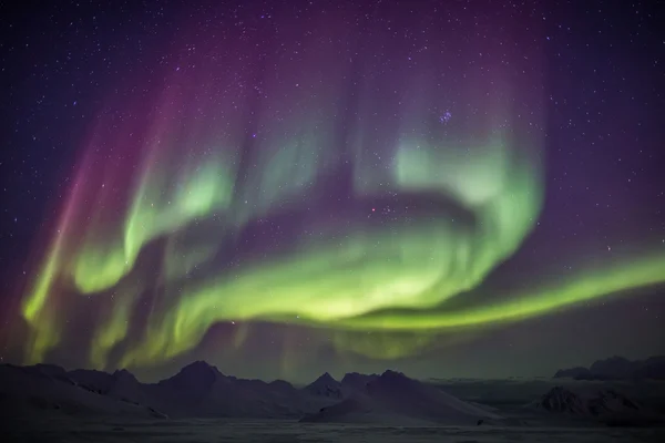 Extraordinära norrskenet över himlen - arktiska landskapet — Stockfoto