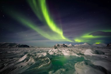 Kuzey ışıkları gökyüzünde - Arktik manzara