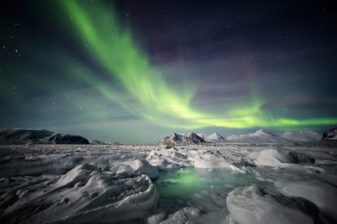 Donmuş fiyort ve Kuzey ışıkları - Arctic doğal peyzaj.