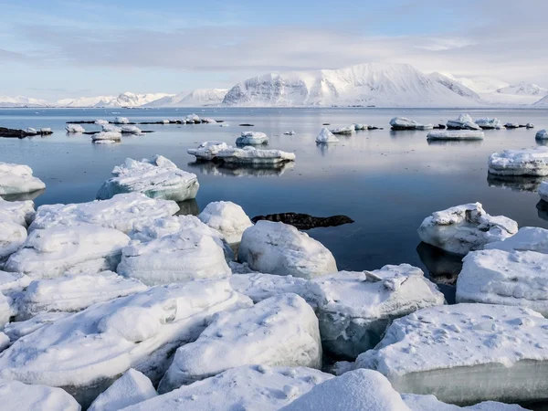 Арктичних зимовий пейзаж - Шпіцбергенський, Шпіцберген Ліцензійні Стокові Фото