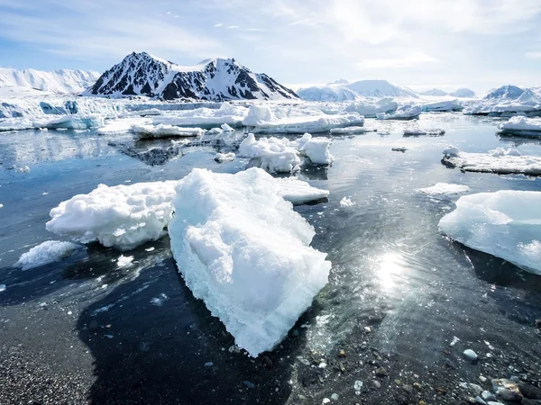 Paesaggio artico con ghiacciai - Spitsbergen, Svalbard — Foto Stock