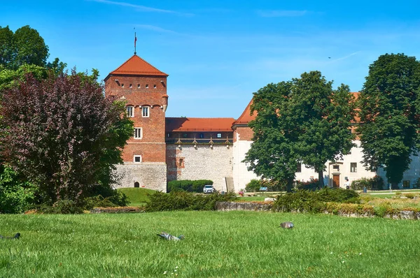 Замок Вавель Англ Wawel Castle Резиденція Замку Центрі Кракова Польща — стокове фото