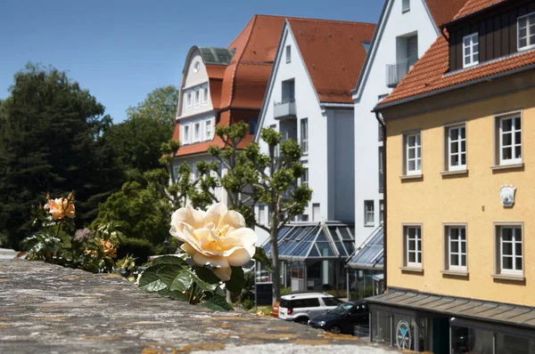 Seçici odak, Lindau şehir duvarlarında çiçekler