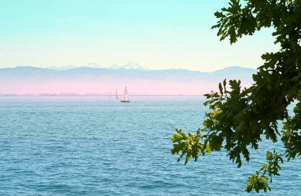 Lindau yakınlarındaki Constance Gölü 'nde yelkenli. Bavyera, Almanya