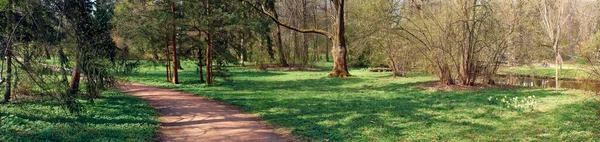 Wiosenna Panorama Królewskiego Parku Łaźni Łazienki Krolewskie Warszawie Kwitnące Żonkile — Zdjęcie stockowe