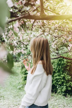 Bahar parkında genç bir kadının arkasında. Bahar günü. Sakura. Yaz tatili. Yaşam biçimi.