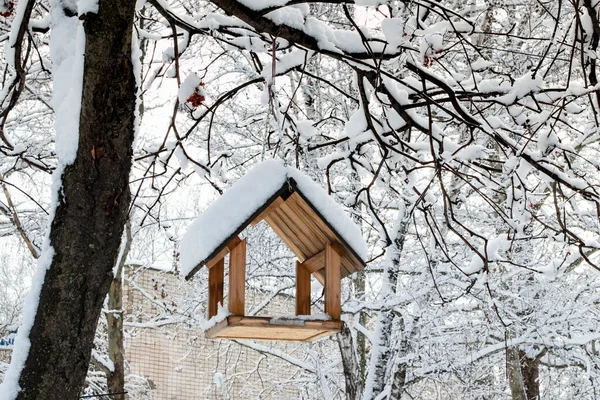 Zimě Visí Větvi Stromu Pod Sněhem Krmítko Pro Ptáky Člověka — Stock fotografie