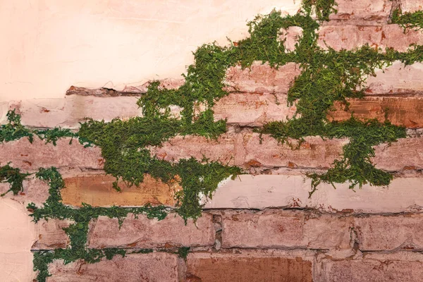 Fragment of vintage antique wall with moss growing out of it. Textured wall with decorative plaster and bricks. The concept of the victory of nature over civilization. Old concrete Brick Wall with Moss background